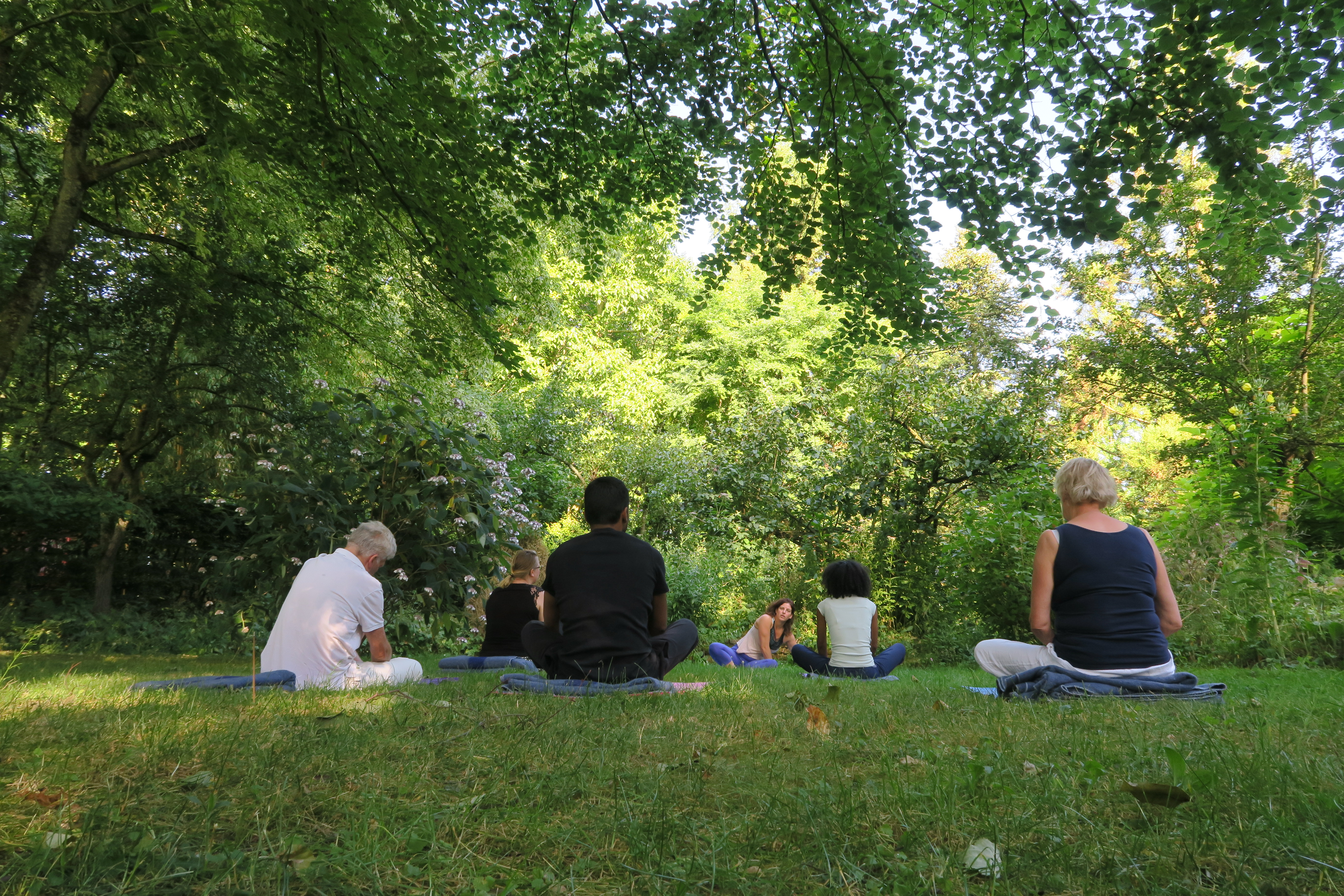 Silence & Meditation