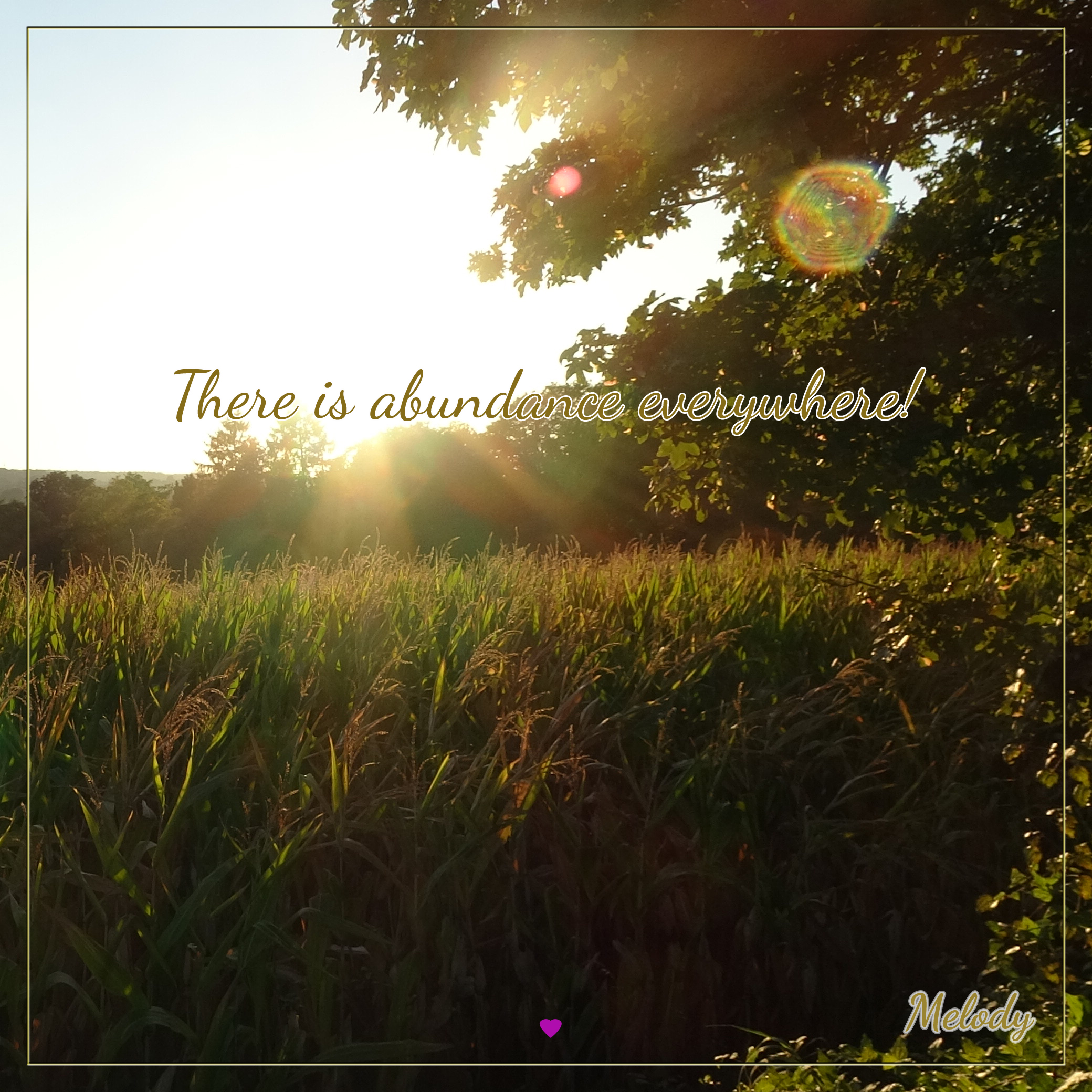 There's Abundance Everywhere!